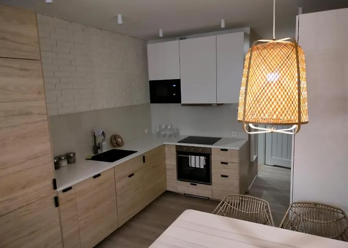 Bielsko City Center Apartment